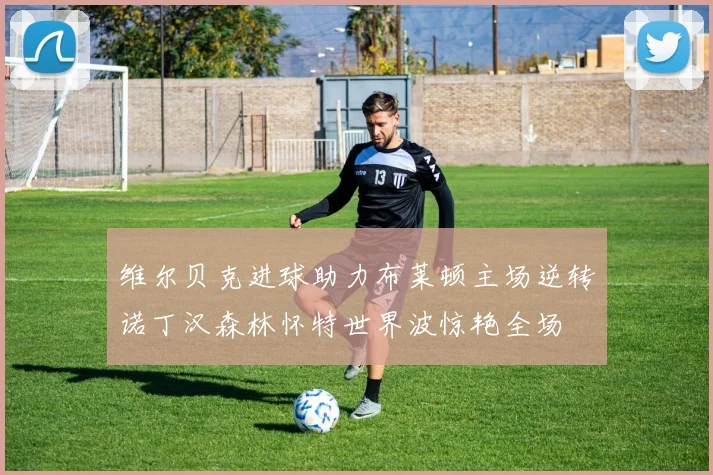 维尔贝克进球助力布莱顿主场逆转诺丁汉森林怀特世界波惊艳全场