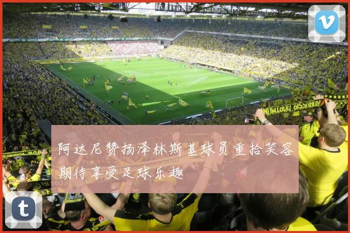 阿达尼赞扬泽林斯基球员重拾笑容期待享受足球乐趣